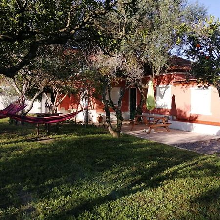 Casa Das Laranjeiras E Parque Infantil Azeitão Exterior foto