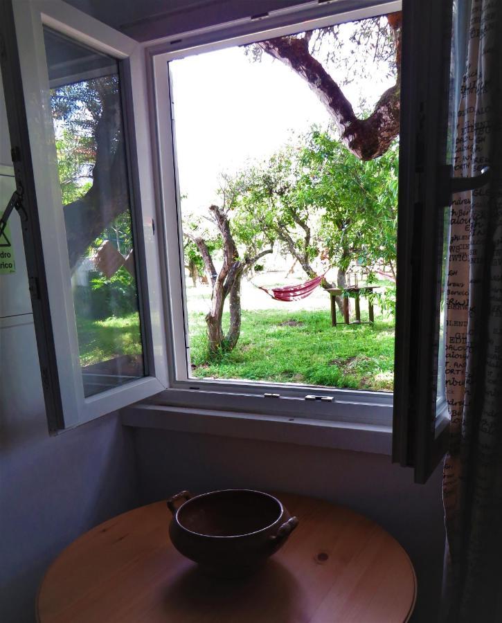 Casa Das Laranjeiras E Parque Infantil Azeitão Exterior foto